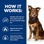 Load image into Gallery viewer, Dog sitting next to a blue background with text about weight loss for dogs.
