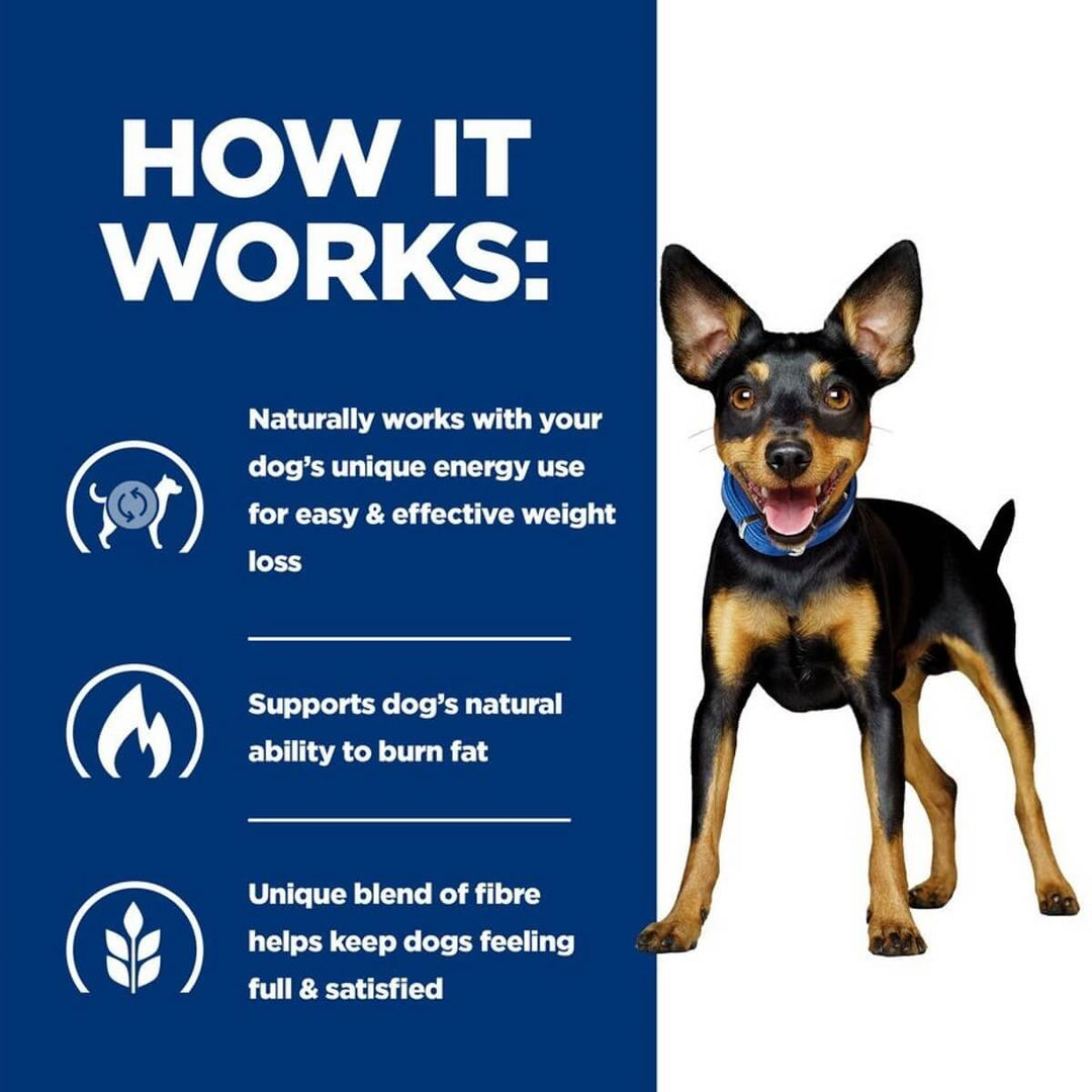 Dog standing next to a blue panel with text about weight loss for dogs on a white background