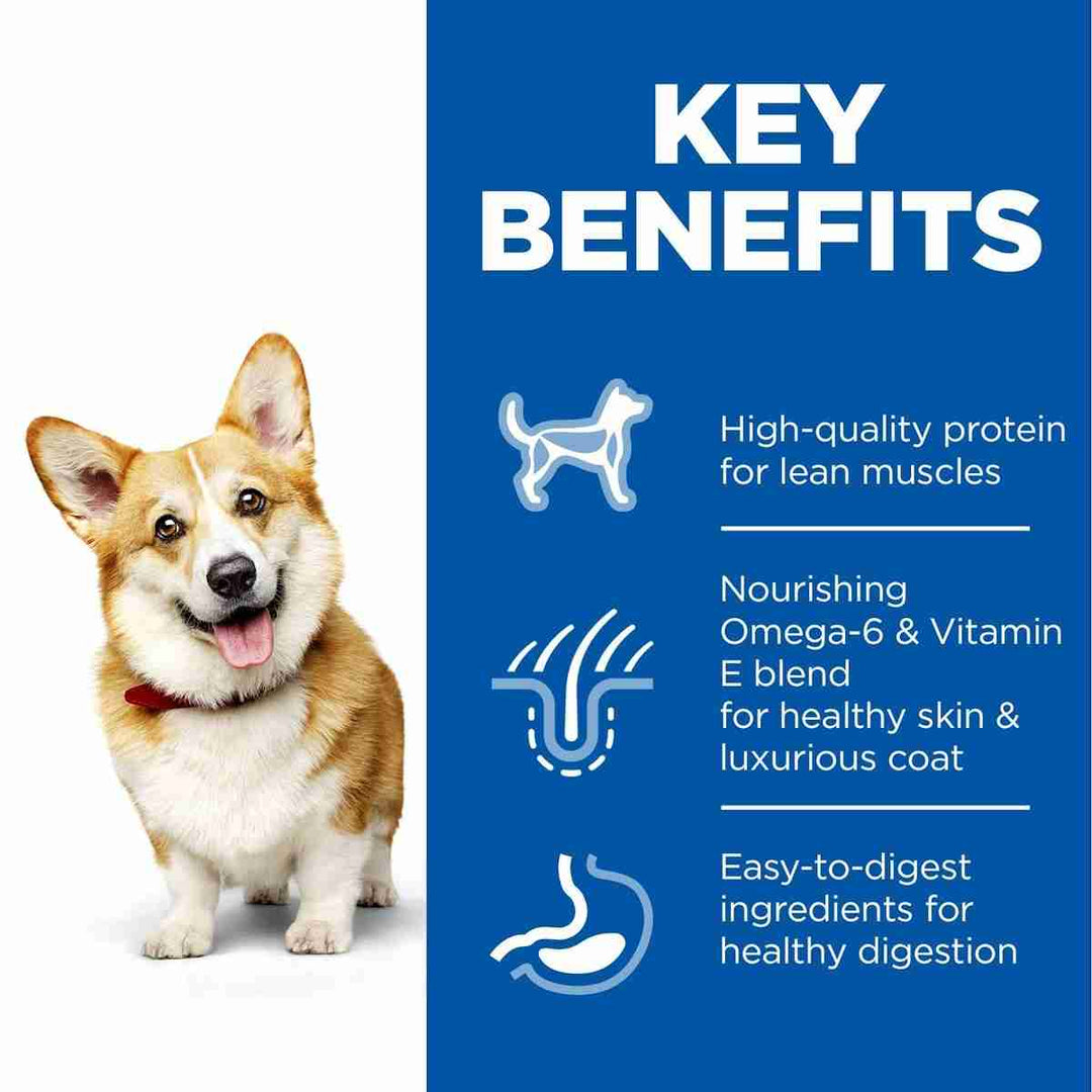 Hills Science Plan chicken dog food