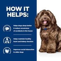Prescription diet for dogs