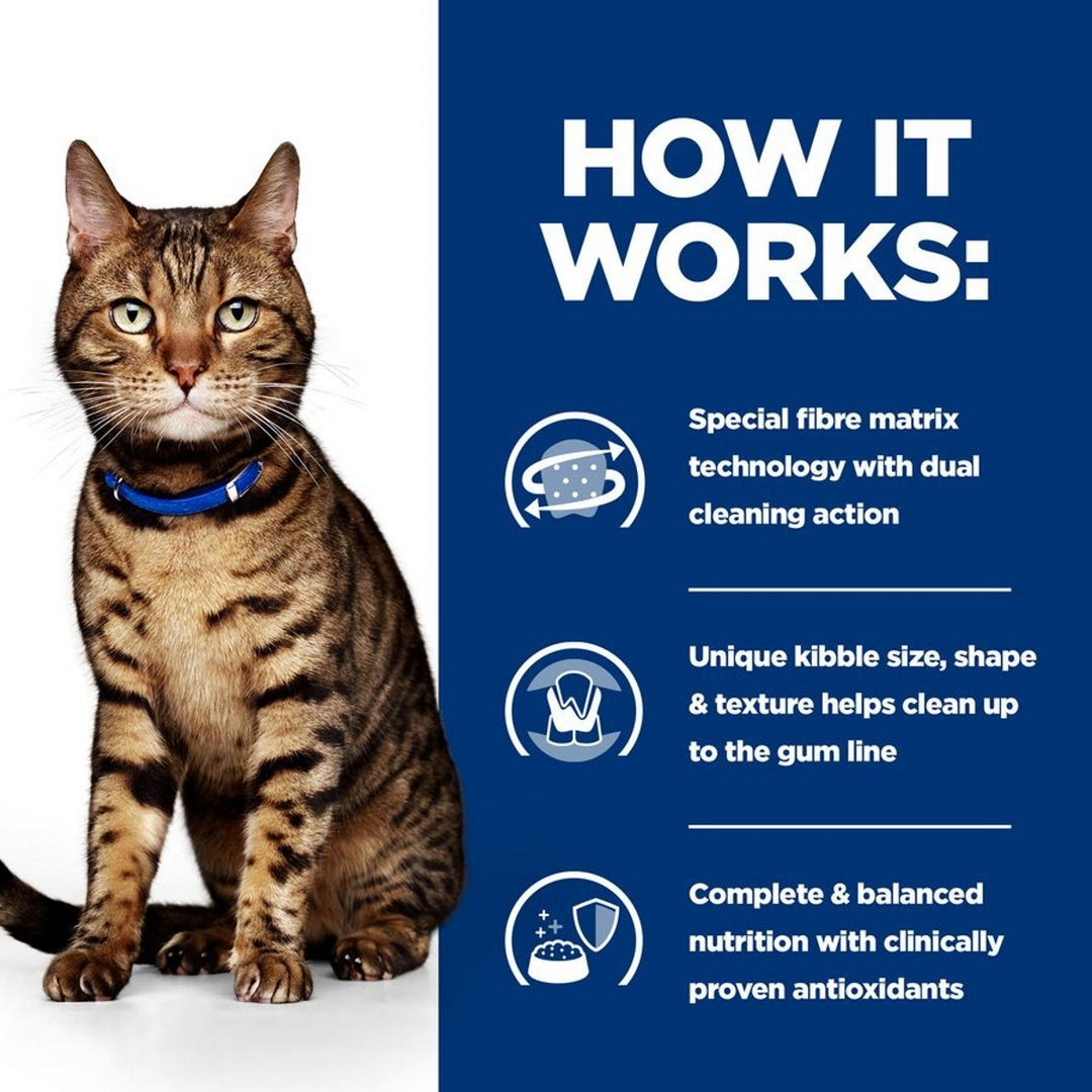 Cat food for teeth