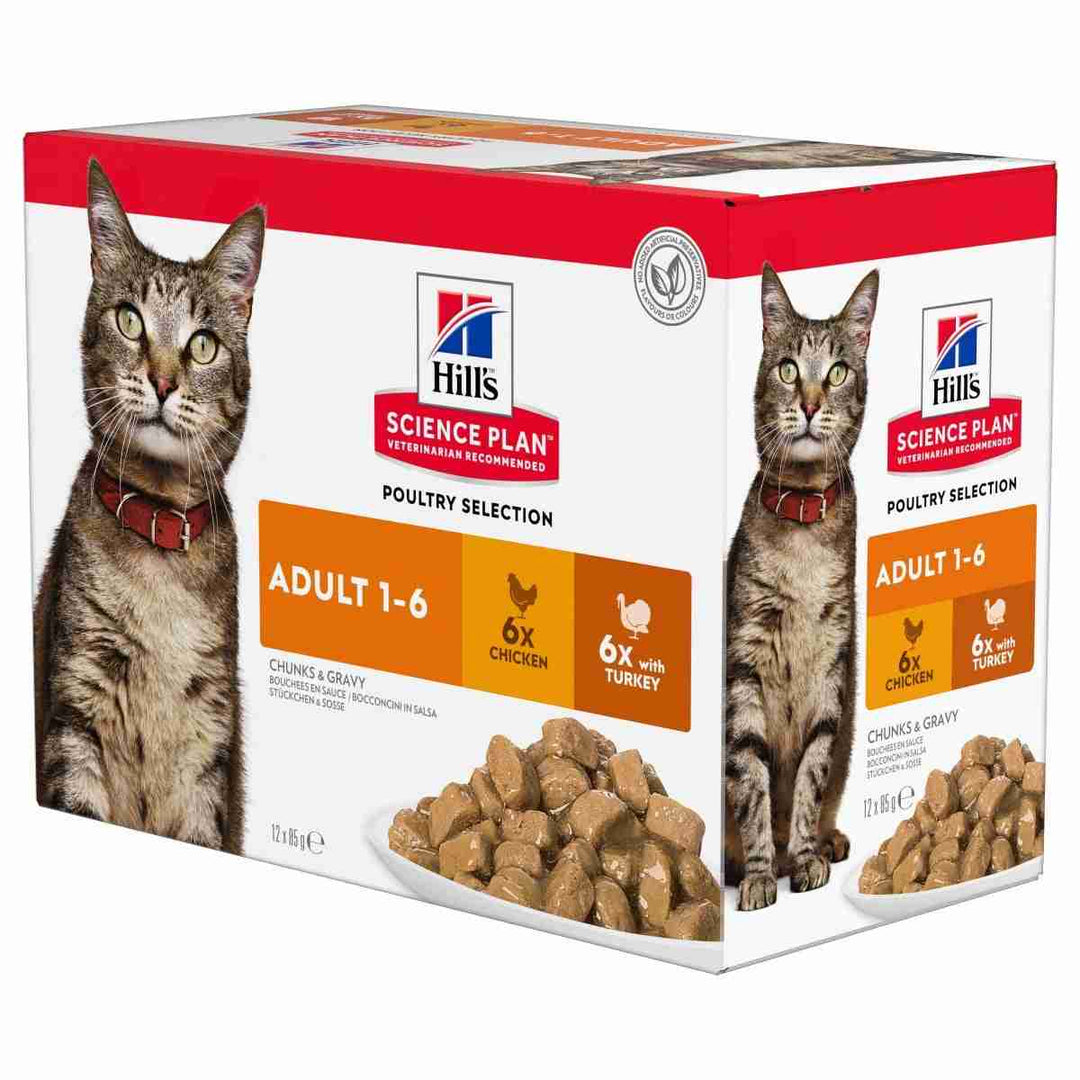 Poultry wet food for cats