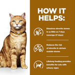 Load image into Gallery viewer, Wet food for cats
