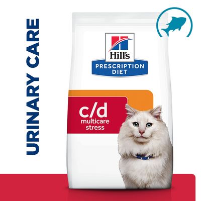 Cat eating urinary dry food