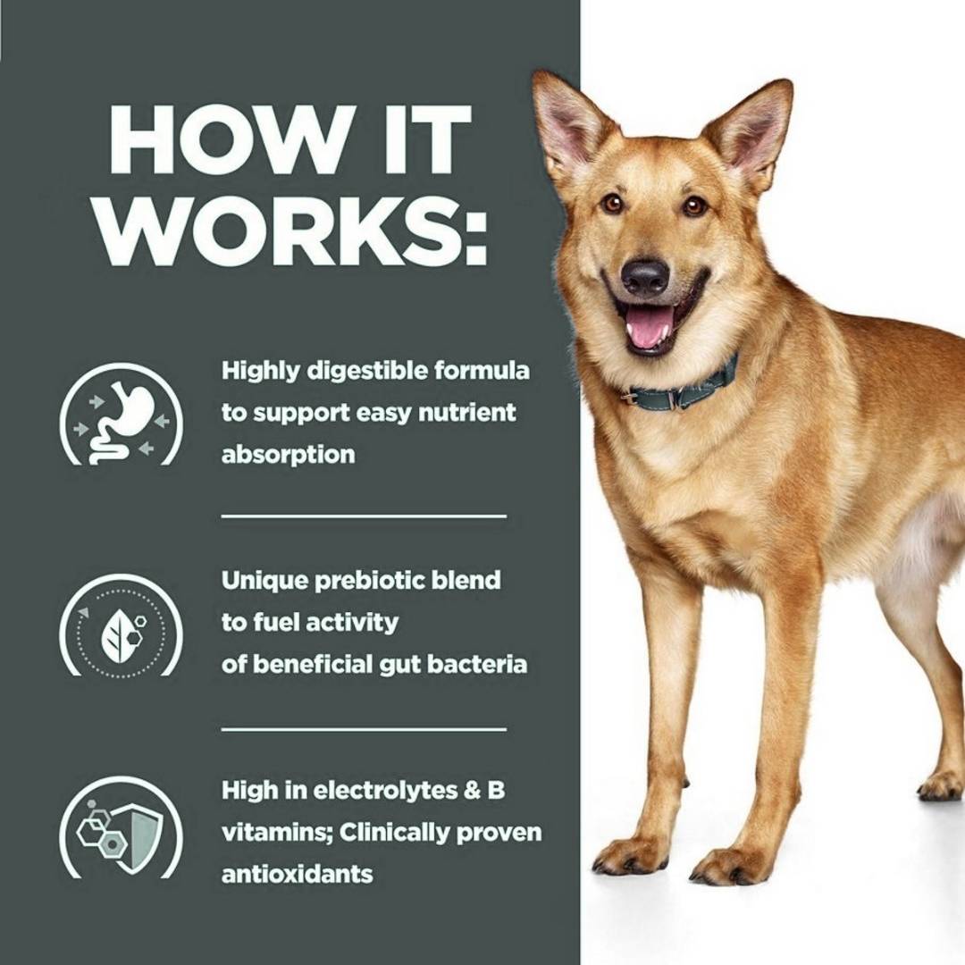 Dog standing next to a text panel explaining a highly digestible formula for easy nutrient absorption.