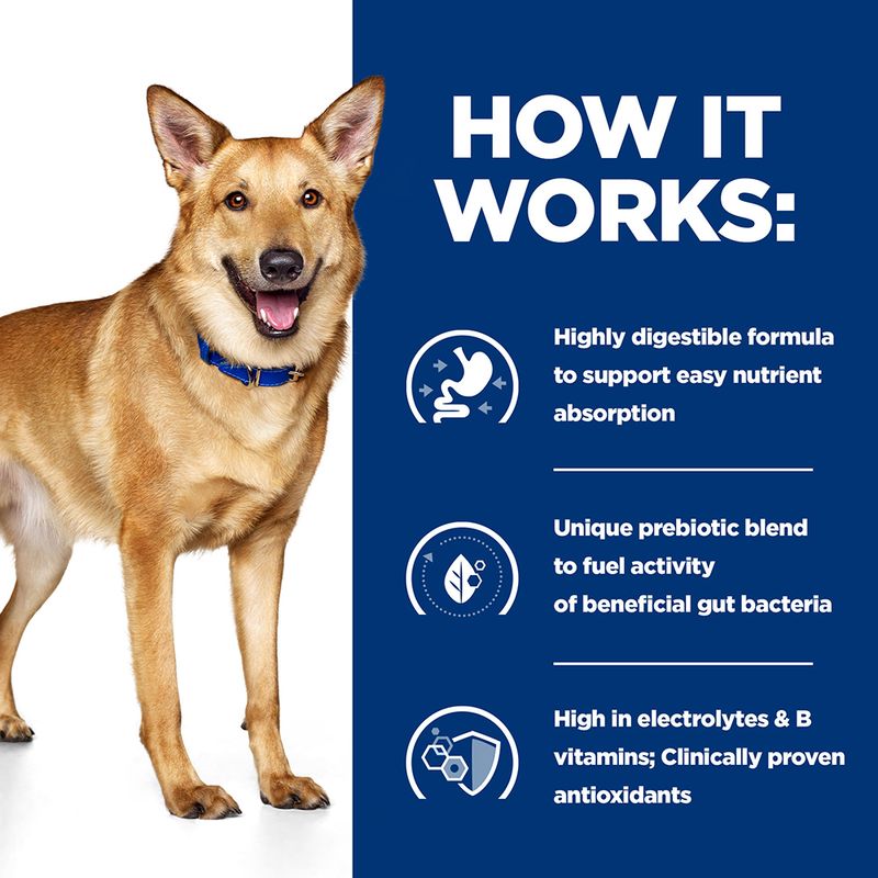 Hill's Prescription gastral for dogs