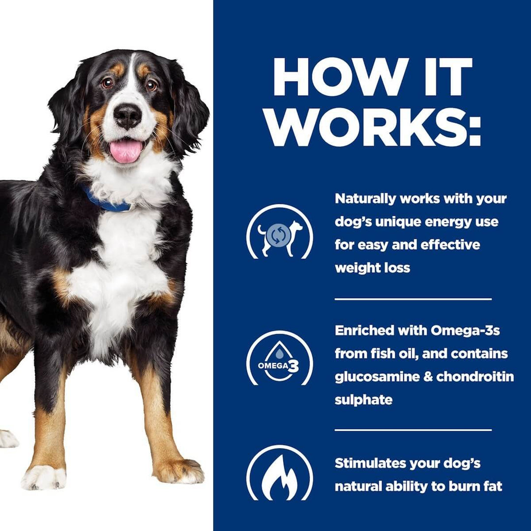 Dog standing next to a blue informational panel about weight loss supplement for dogs.