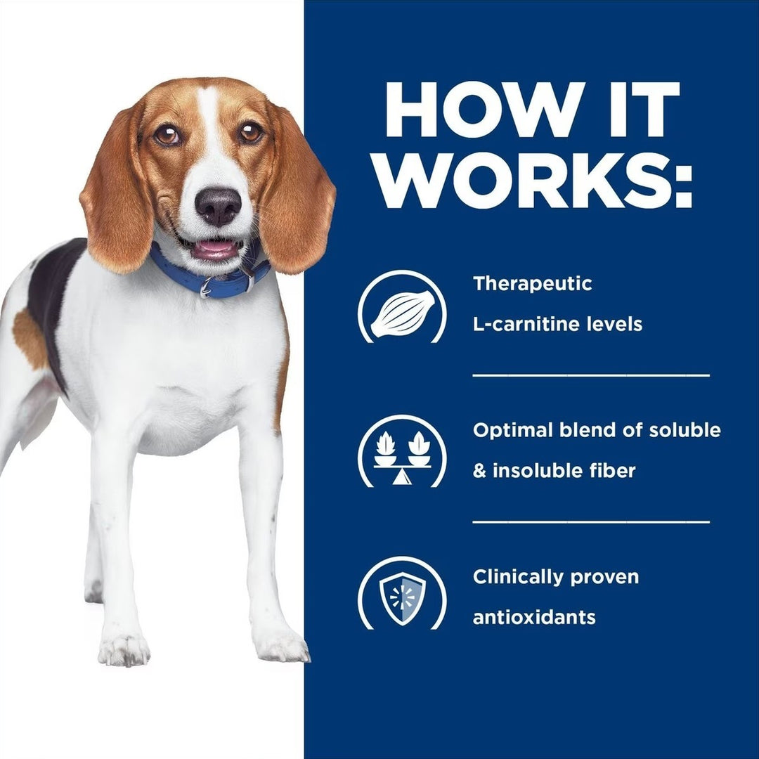 r/d wet dog food