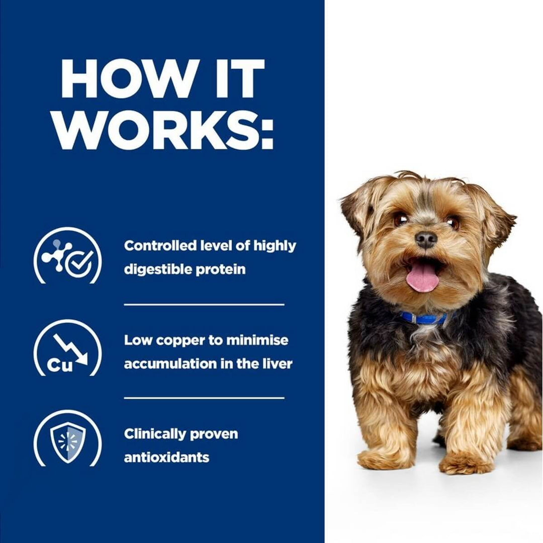 Dog with text on a blue background about protein levels, copper content, and antioxidants.