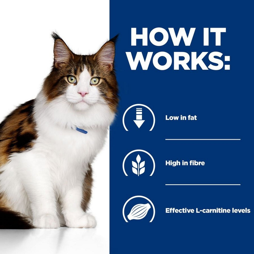 Diabetes support cat kibble