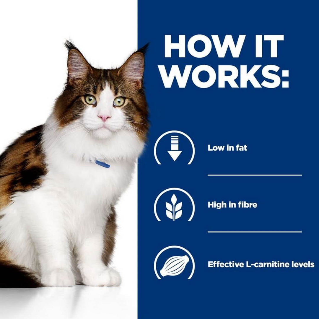 Cat with text explaining dietary benefits on a blue and white background