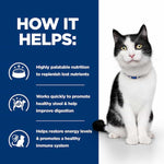 Load image into Gallery viewer, Cat sitting next to a list of benefits on a blue background
