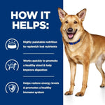 Load image into Gallery viewer, Dog standing next to a list of benefits on a blue background
