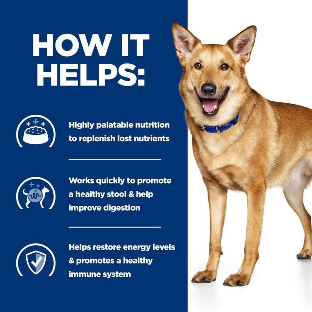Dog standing next to a list of benefits on a blue background