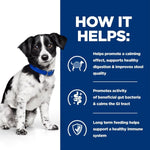 Load image into Gallery viewer, Dog wearing a blue collar with text on a white and blue background
