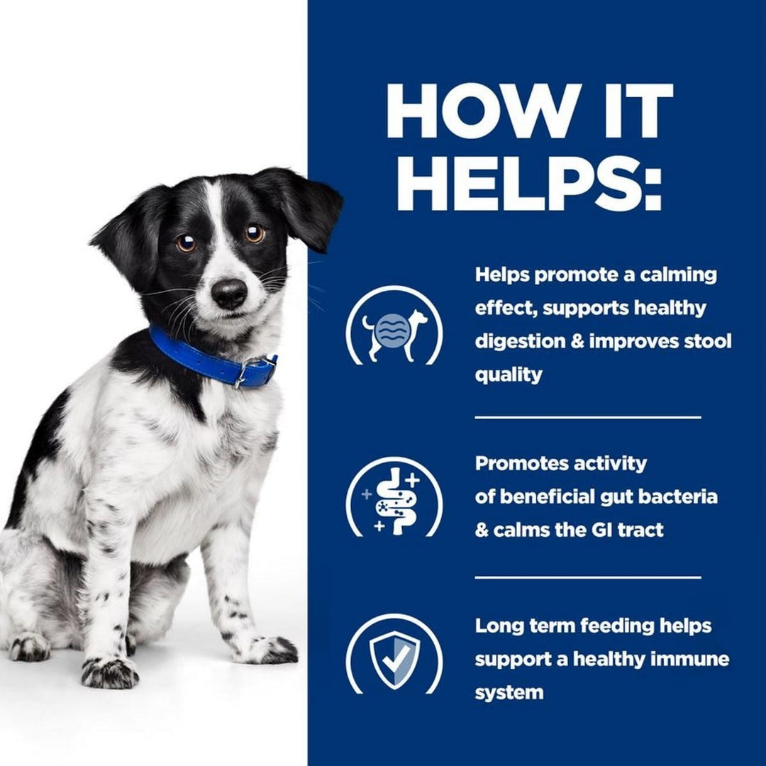 Dog wearing a blue collar with text on a white and blue background