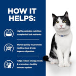 Load image into Gallery viewer, Cat sitting next to a list of benefits on a blue background
