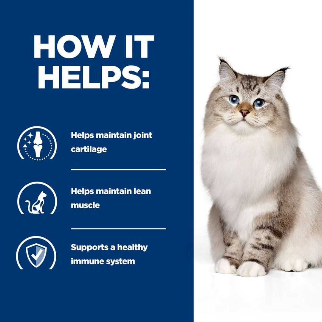Cat with text on how it helps maintain joint cartilage, lean muscle, and a healthy immune system.