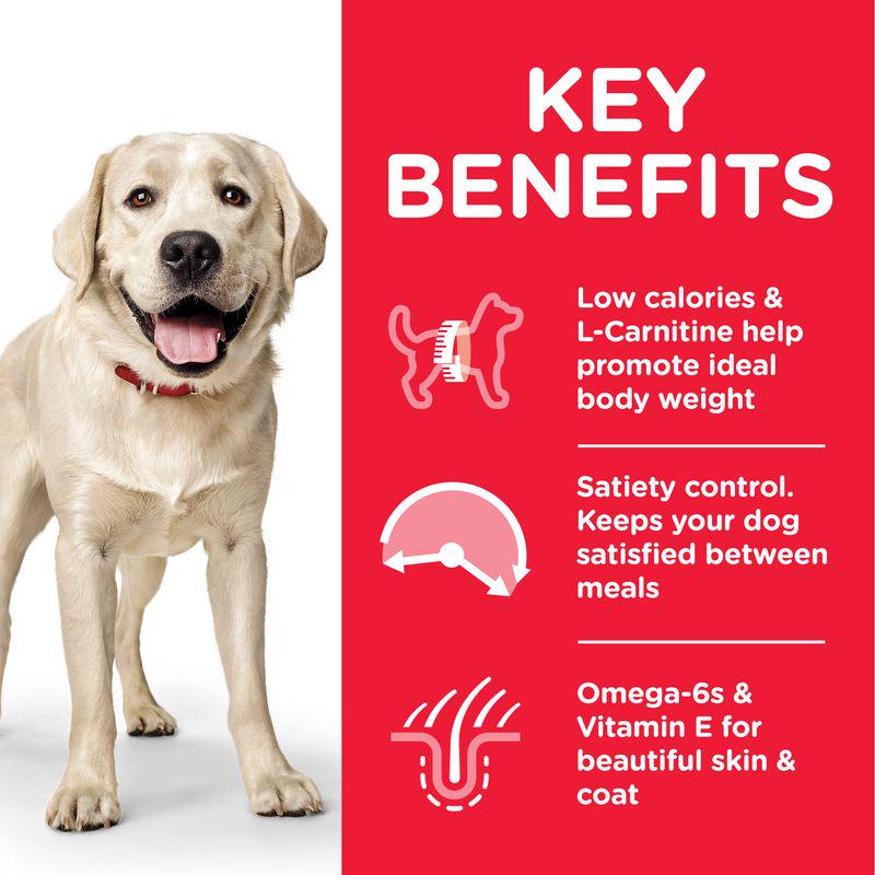 Large dog chicken diet