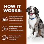 Load image into Gallery viewer, Dog sitting next to a brown background with text about a highly digestible formula.
