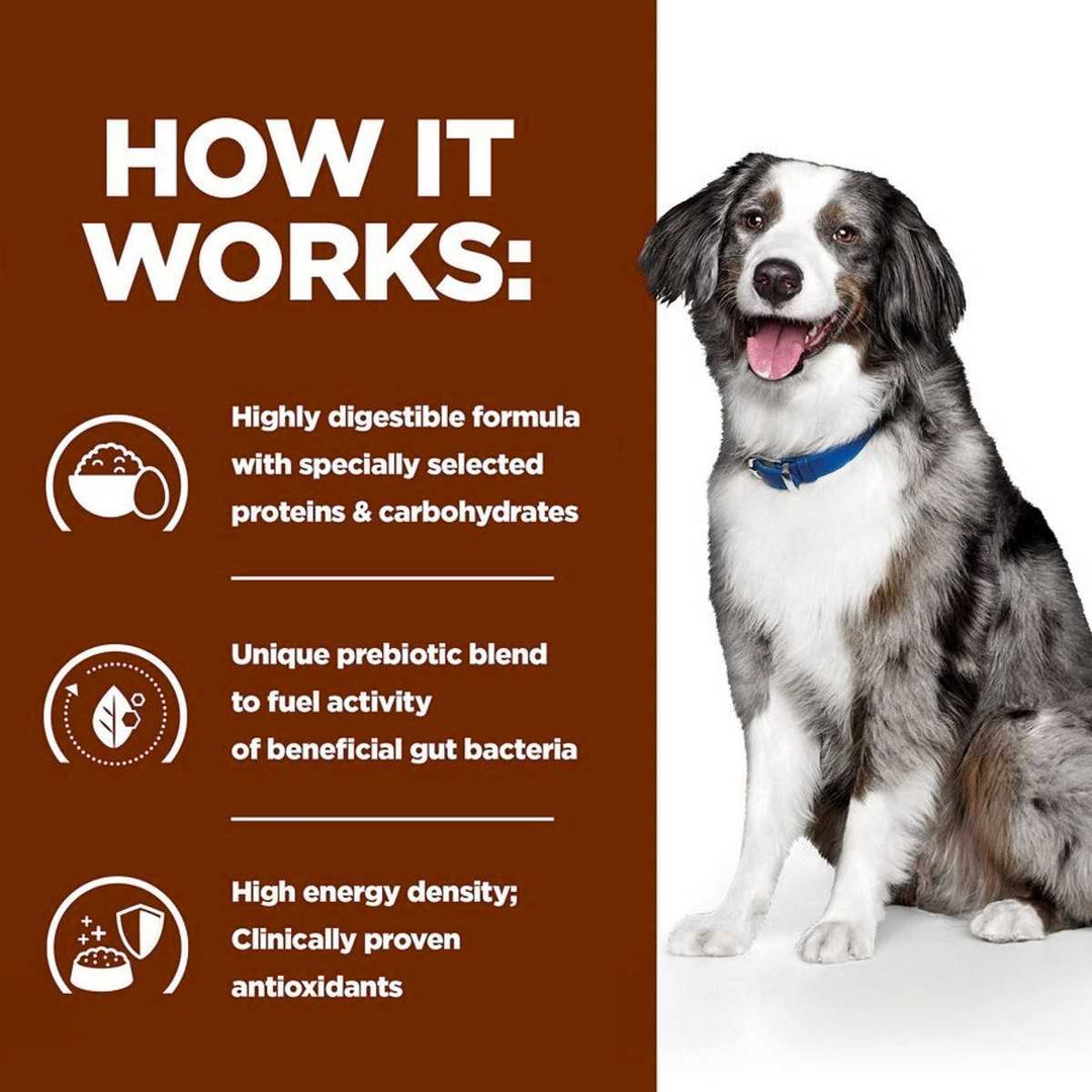Dog sitting next to a brown background with text about a highly digestible formula.