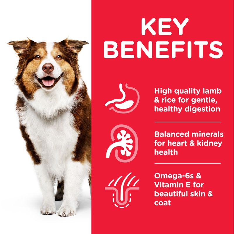 Dog with key benefits of a pet food product on a red background