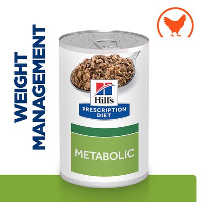 Wet dog food for weight loss 