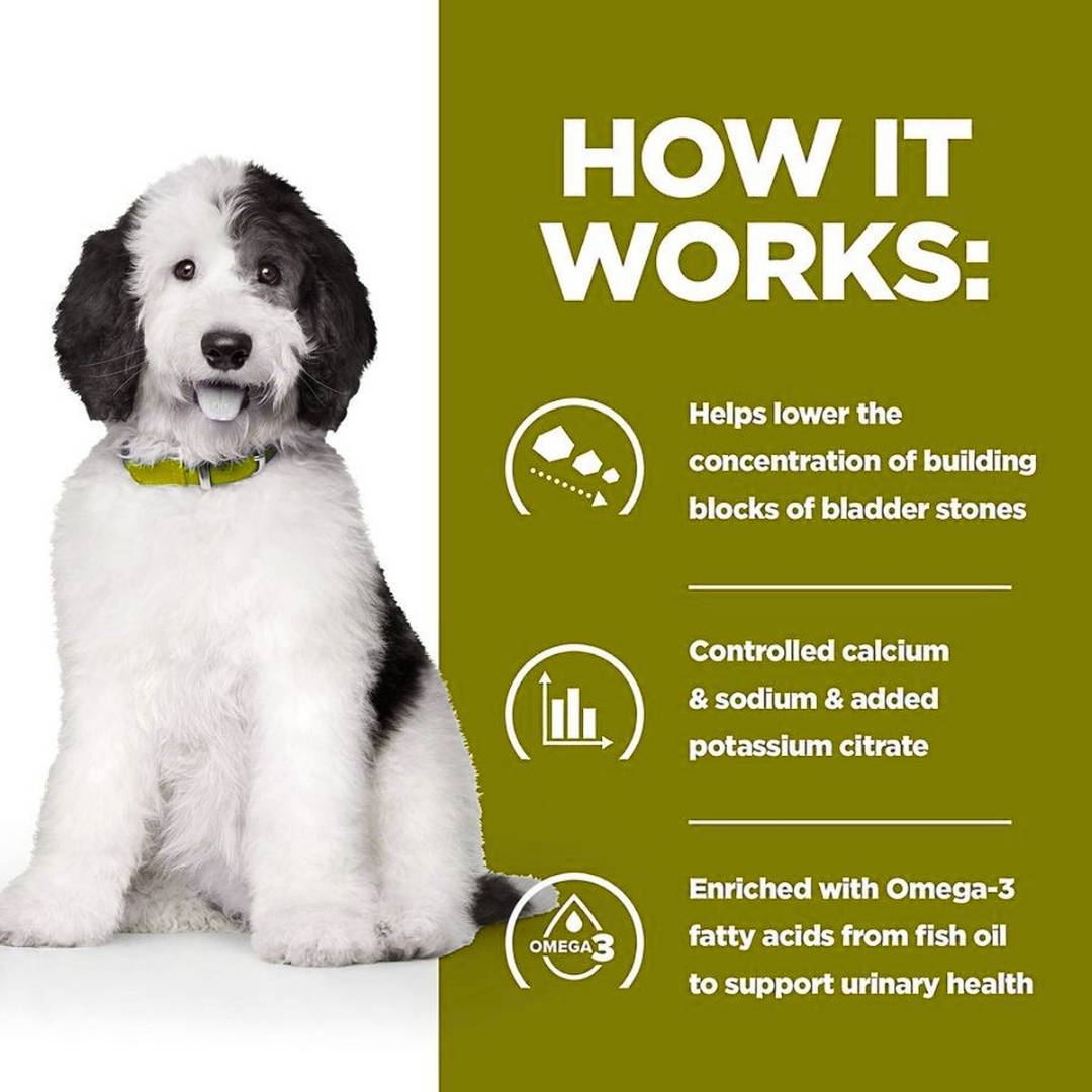 Hill's c/d dry dog food