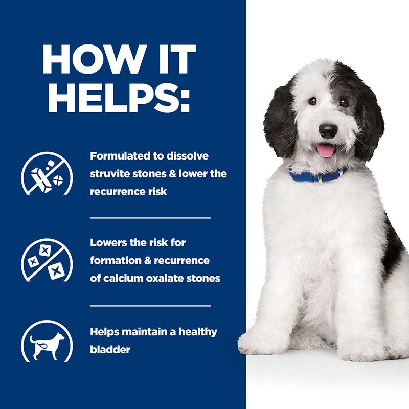 Hill's urinary care canned dog food