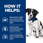 Load image into Gallery viewer, Digestive care canned dog food
