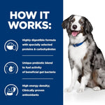 Load image into Gallery viewer, Dog sitting next to a blue informational panel about a highly digestible formula with prebiotics and antioxidants.

