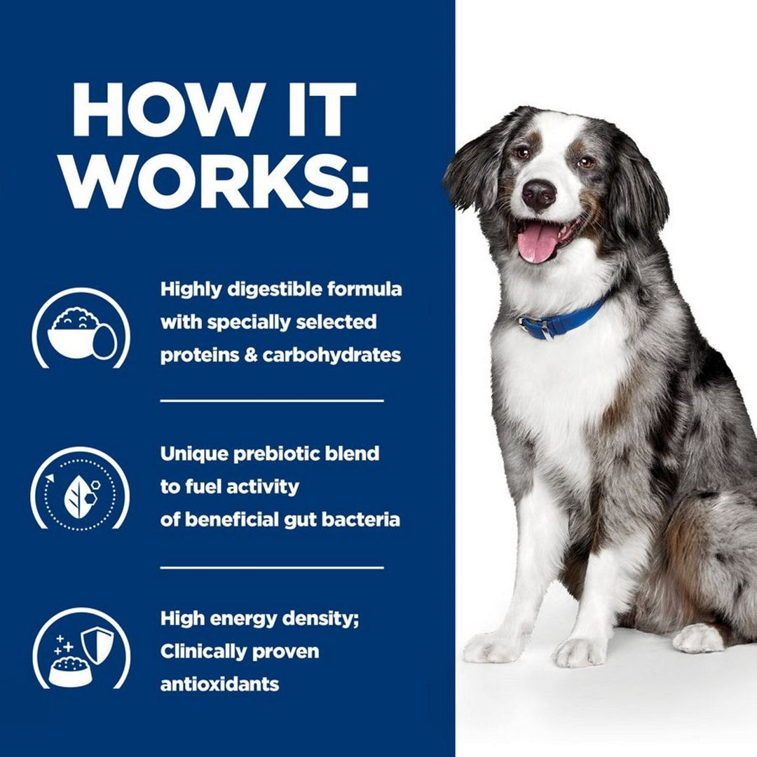 Dog sitting next to a blue informational panel about a highly digestible formula with prebiotics and antioxidants.