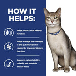 Load image into Gallery viewer, Cat with a blue collar on a white background, next to text about kidney health benefits.
