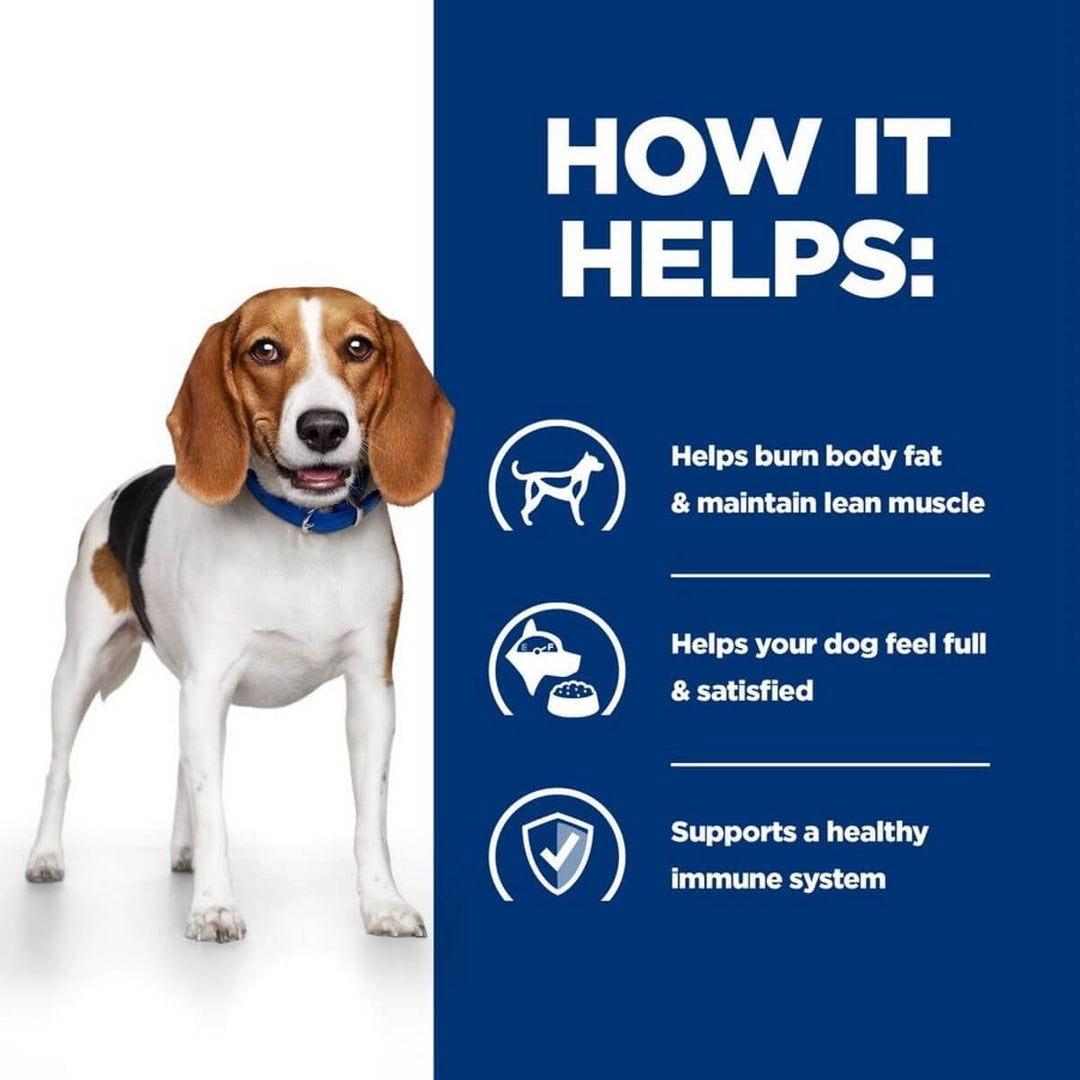 Dog with a blue background and text about the benefits of a product for dogs.