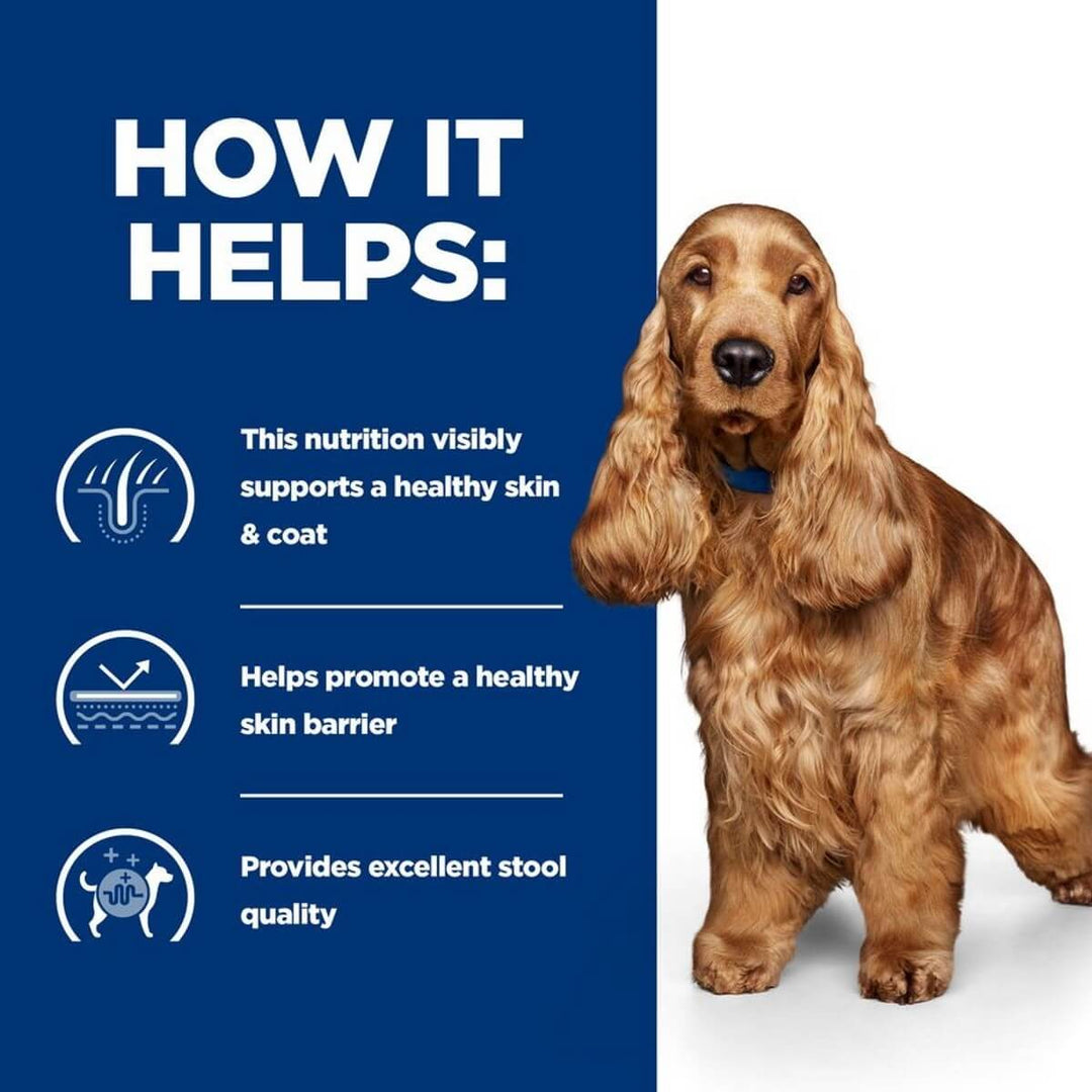 Dog with text and icons about nutrition benefits on a blue background