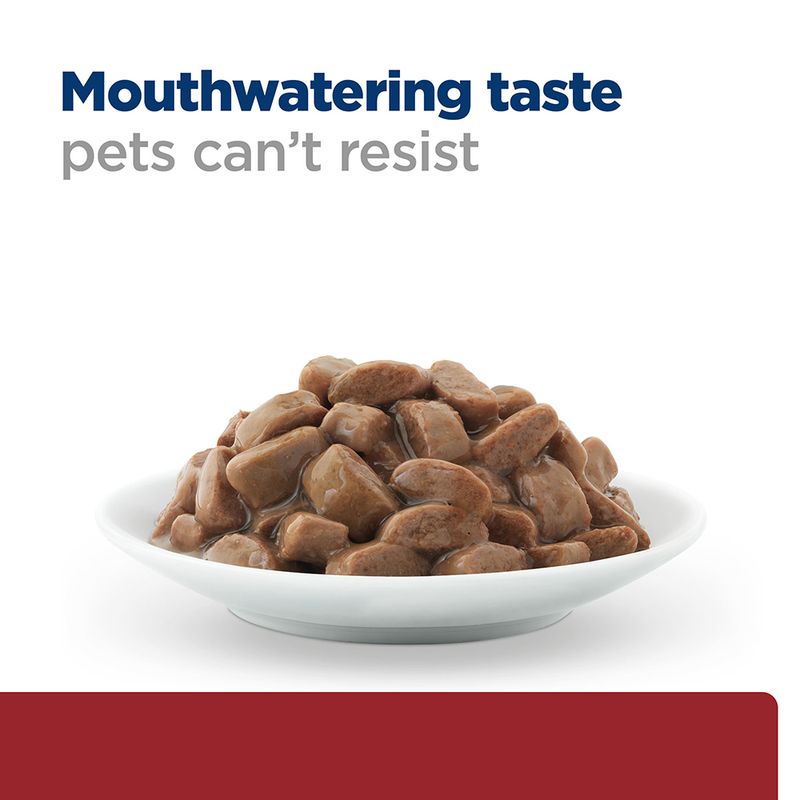 Chicken cat food for digestion