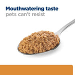 Load image into Gallery viewer, Therapeutic wet dog food 
