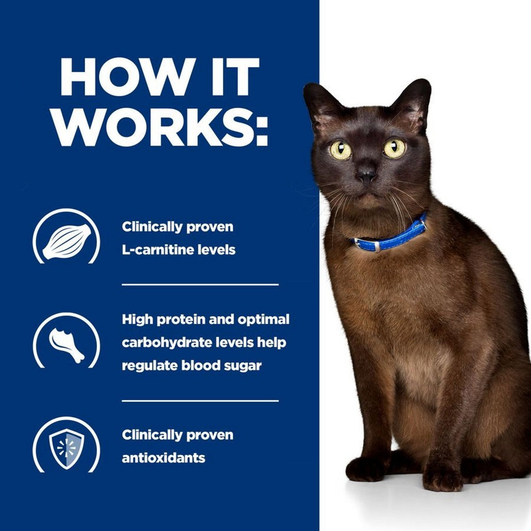 Cat blood sugar support
