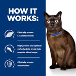 Load image into Gallery viewer, Cat wearing a blue collar with text about L-carnitine, protein, and antioxidants on a blue and white background.
