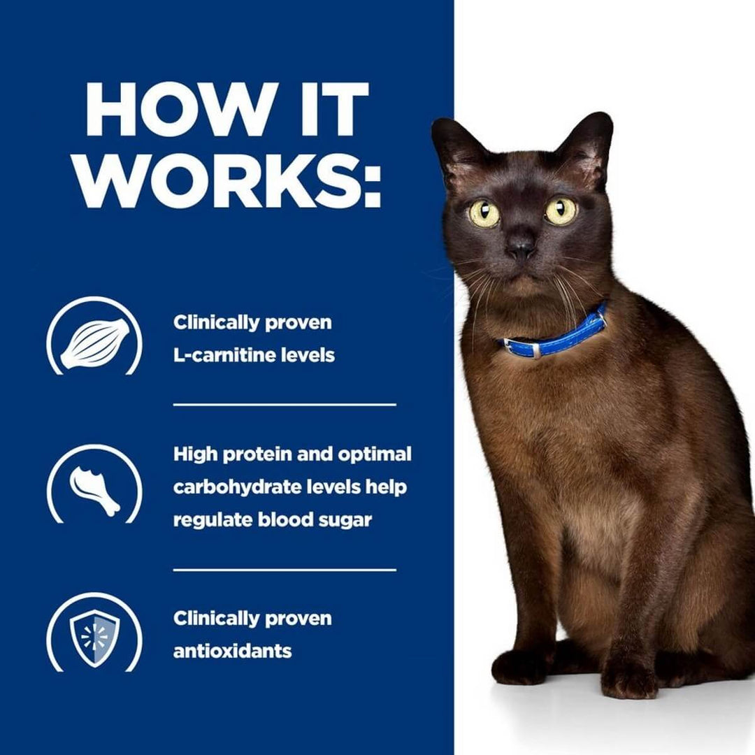 Cat wearing a blue collar with text about L-carnitine, protein, and antioxidants on a blue and white background.