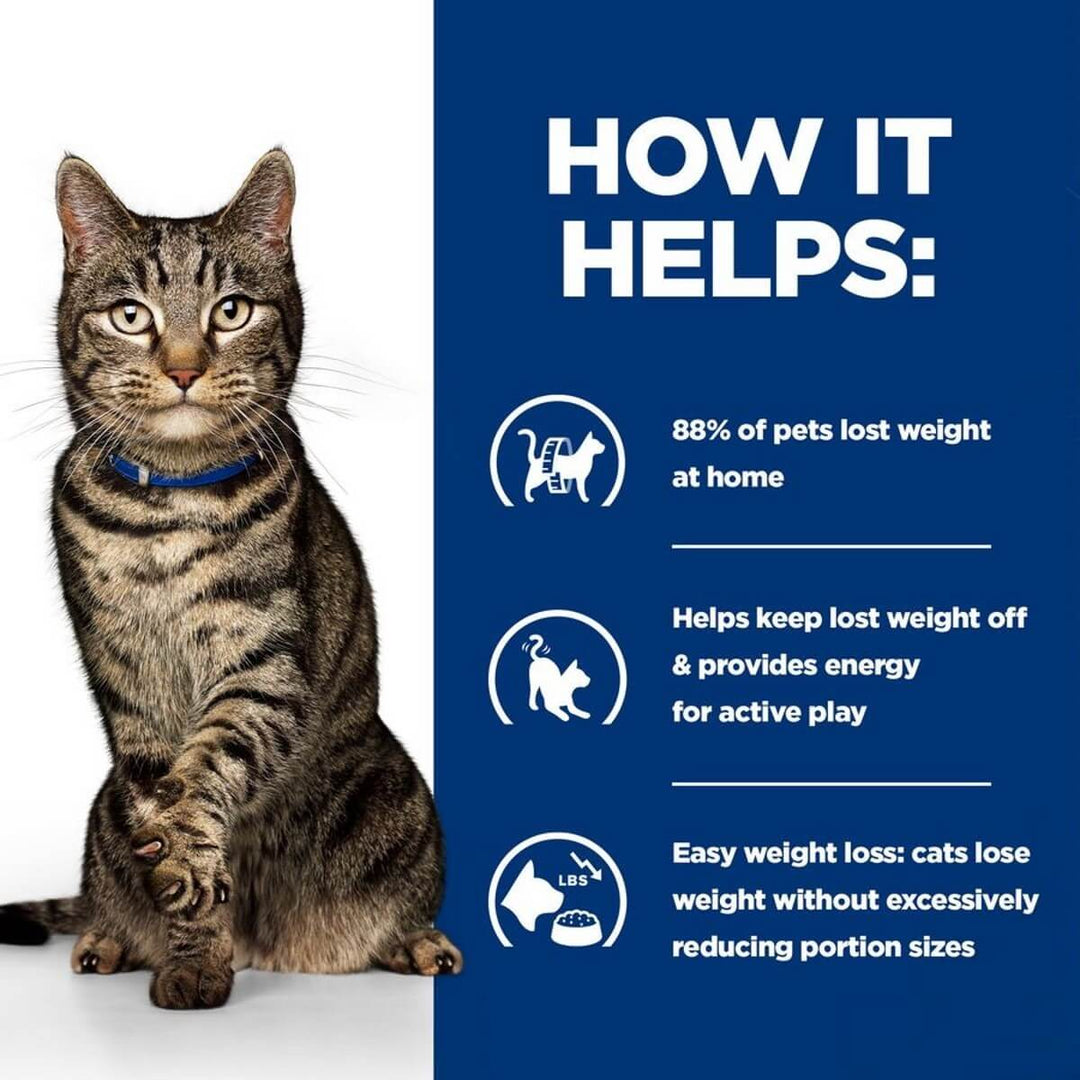 Cat with text on how it helps with weight loss at home