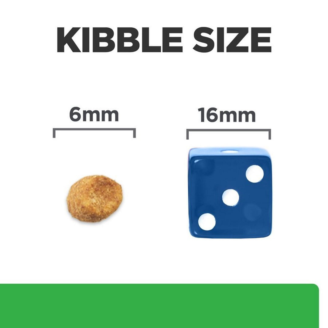 Weight loss cat kibble