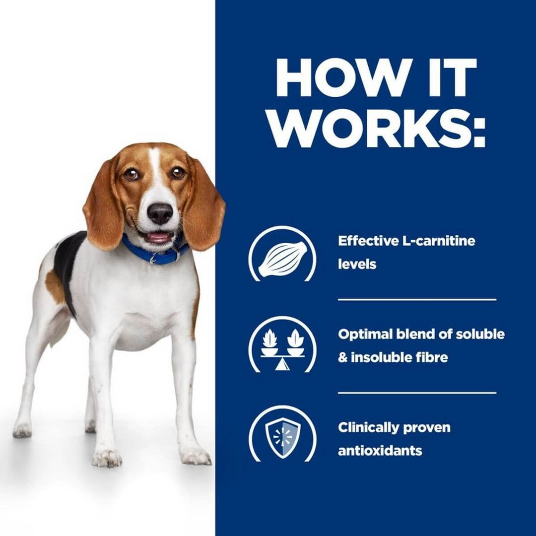 Dog with a blue background and text about effective L-carnitine levels, optimal blend of fibre, and clinically proven antioxidants.