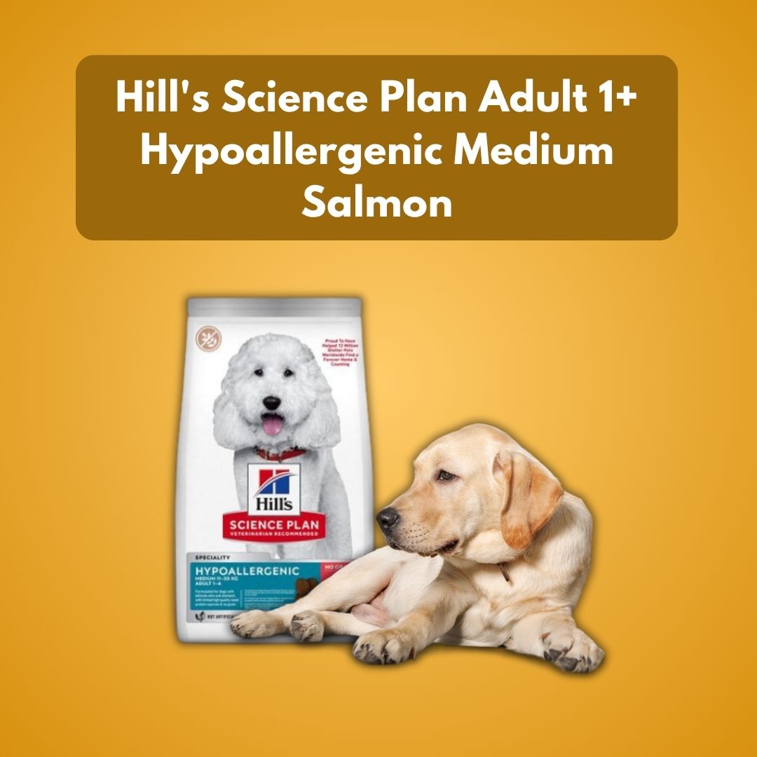 Hypoallergenic Medium Salmon