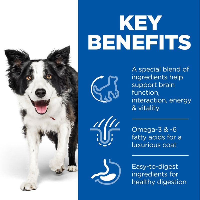 Dog with key benefits text on a blue background