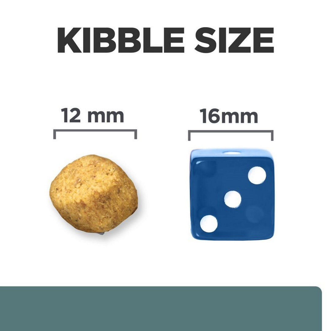 Balanced nutrition for dogs