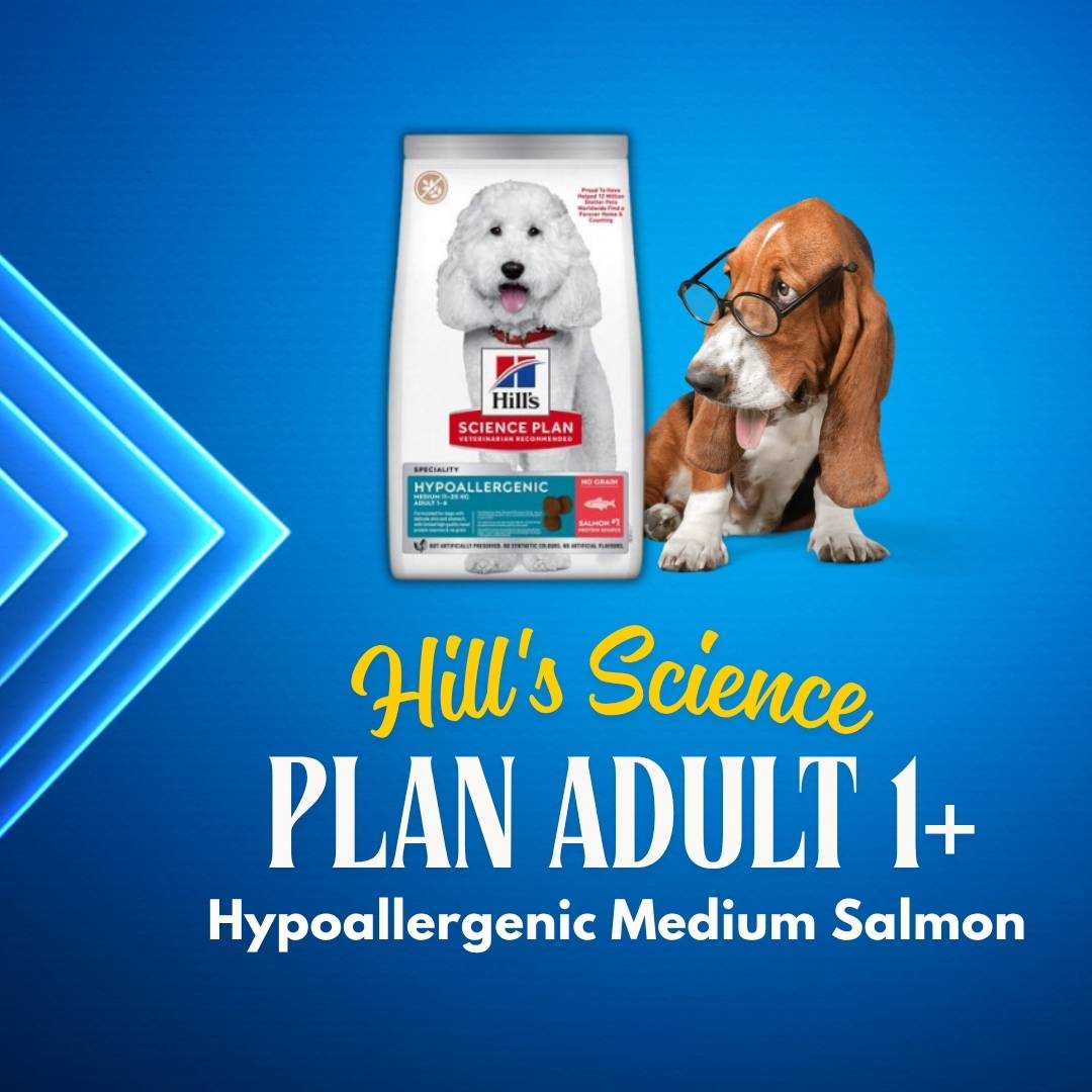 Hill's Hypoallergenic Medium Salmon