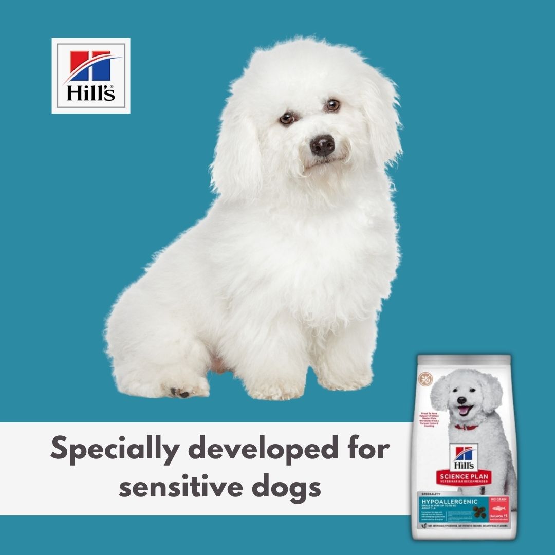 Adult dog salmon formula