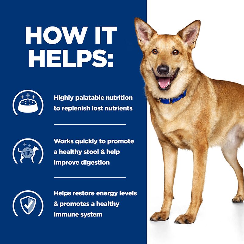 Veterinary diet wet dog food 