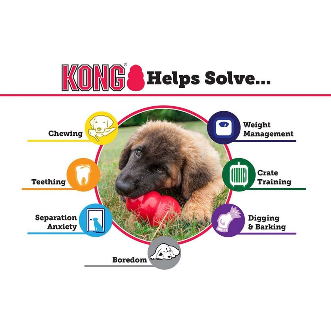 KONG product solution chart for dog behaviors with a puppy and red KONG toy.